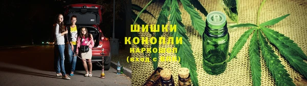 mix Пересвет